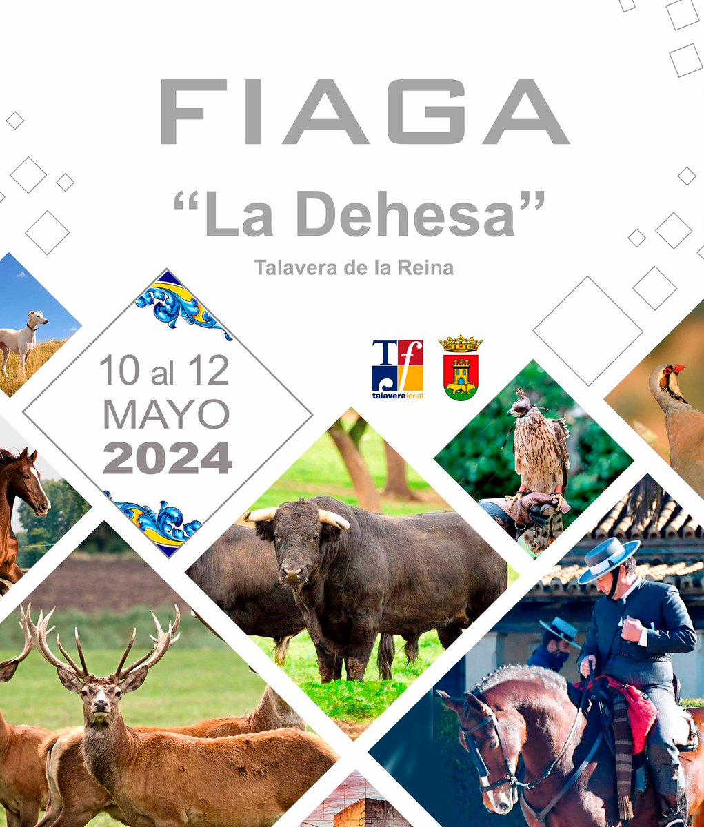 🟢Del 10 al 12 de mayo estaremos en en Talavera la #FIAGA 'La Dehesa. 👁️Muestra de ganado vivo equino, vacuno, ovino, aviar... exhibiciones de equitación, toreo de salón, taxidermia, jornadas técnicas, son algunas de las actividades programadas. 📍En el recinto @TalaveraFerial.