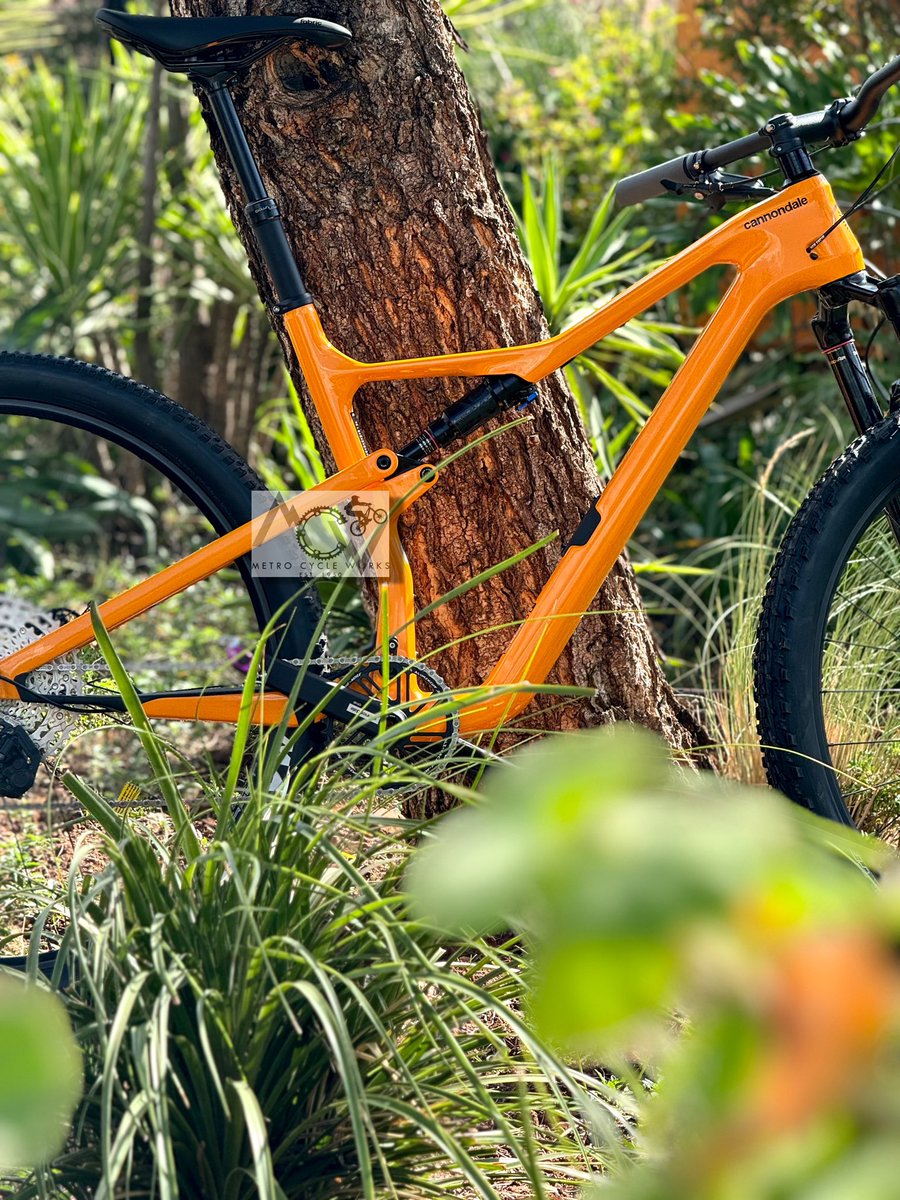 A beast, spotted in the wild 🐆

#metro_cycles1 #metrocycles #bikelife #bikeshops #bikeshop #bikemechanic #bicycleschangelives #bicycle #bicycles #bicycling #bicycleworkshop #bicycleshop #bicyclemechanic #workshop #cycling #cyclist #cycle #cyclelife #vanderbijlpark @CyclesMetro