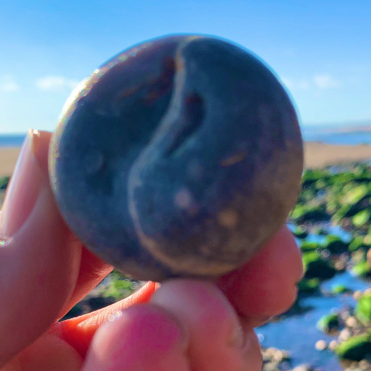 Pebble of the Day #741

#pebbleoftheday 
#tuesdayvibe 
@PoetDeanwilson6