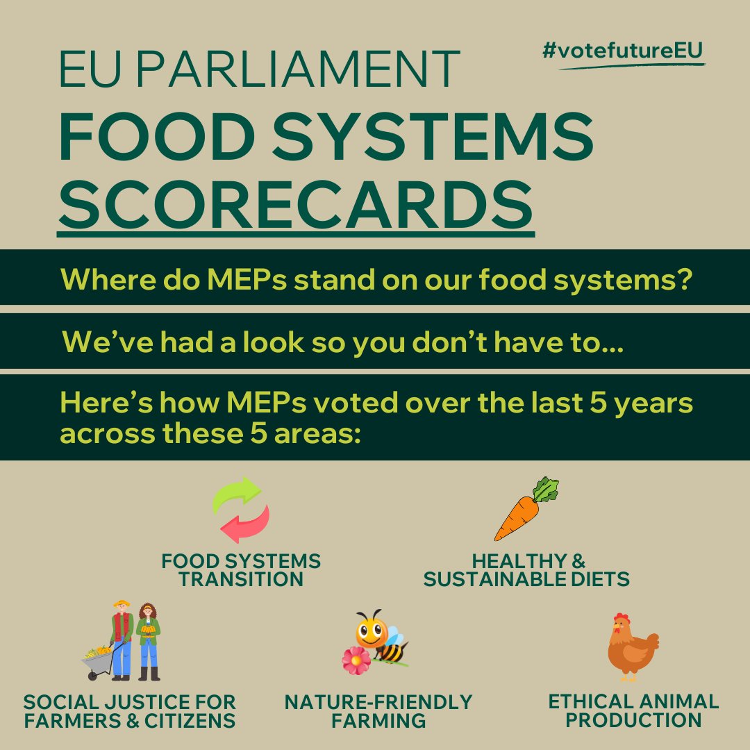 🧵📢Europeans are awakening to the flaws in our #FoodSystems and calling for change.
Ahead of the #EUelections2024, we've had a look at how MEPs in @Europarl_EN voted on food & farming across 5 categories. Check out how they scored👉foodpolicycoalition.eu/2024/05/07/mep… #VoteFutureEU @WWFEU