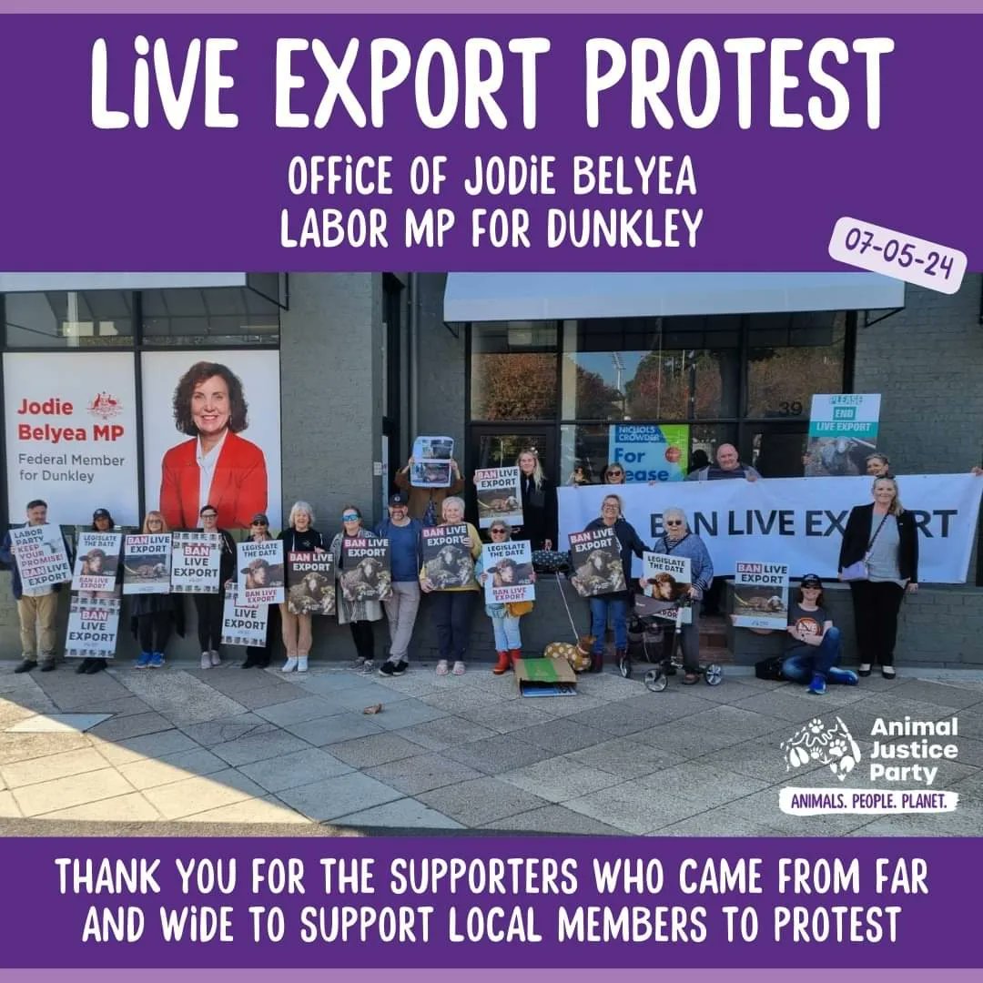 Thanks to @AJP_Victoria Members & Supporters who turned out in #Frankston to protest against Live Animal Exports today at the office of Jodie Belyea MP, Labor MP for #Dunkley. She accepted our letter & thanked us for being there. #BanLiveExport