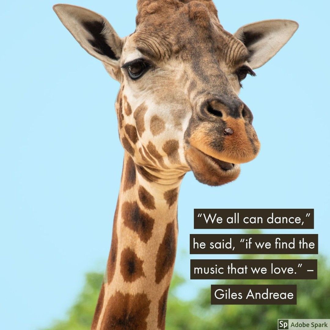 Quote of the day: “We all can dance,” he said, “if we find the music that we love.” – Giraffes Can’t Dance, Giles Andreae                      
 #kidlit #reading #ukedchat
