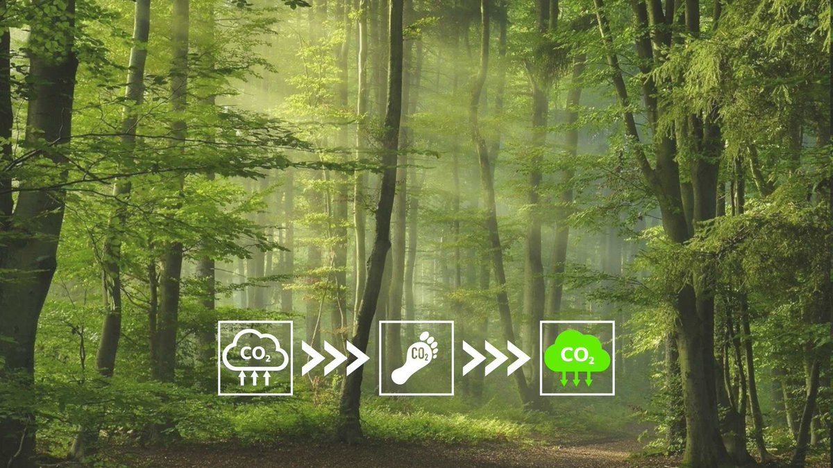 Embodying our collective dedication to a sustainable future, Carbon Neutrality signifies our commitment to balance, offsetting every carbon emission with equal measures of responsibility. Discover through flocard.app/Blog/Net-Zero-… #Carbonneutral #biodiversityloss
