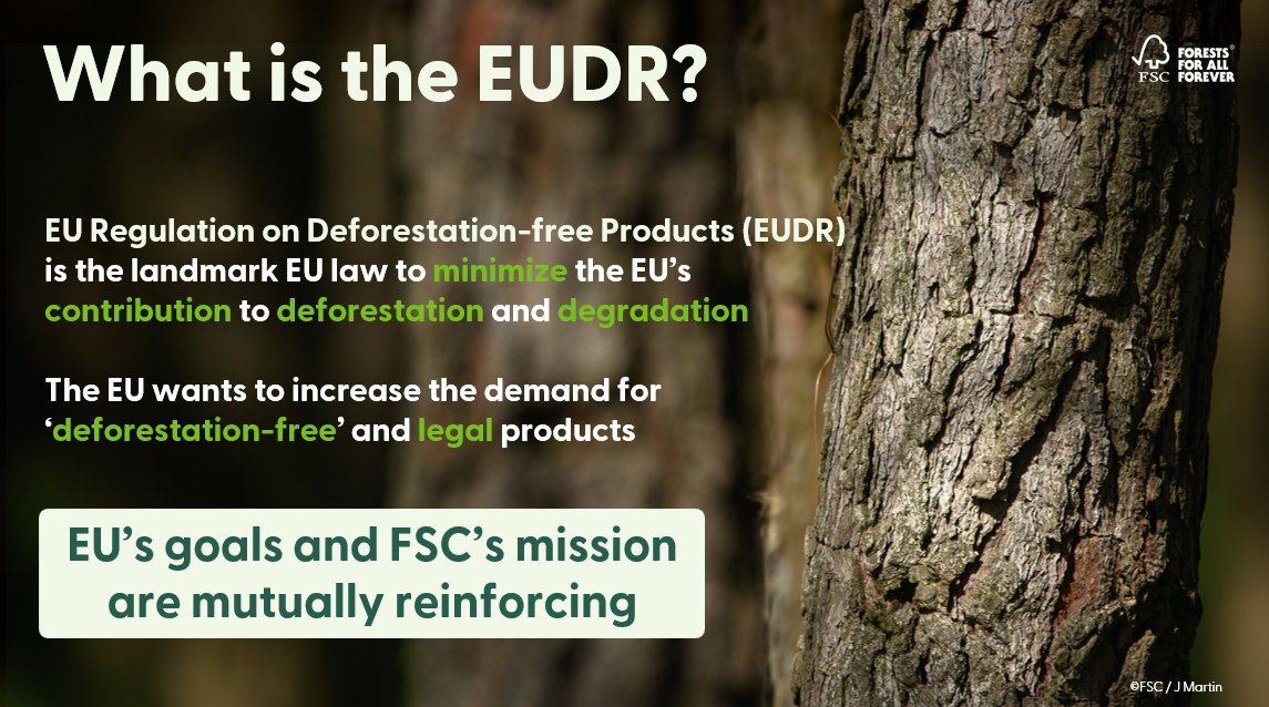 While the EUDR is a European legislation, its implications are global. In the UK, companies with EU operations & companies with customers in the EU will be impacted. Here are 6 steps companies can take now to prepare for #EUDR compliance ✅ uk.fsc.org/newsfeed/six-s…