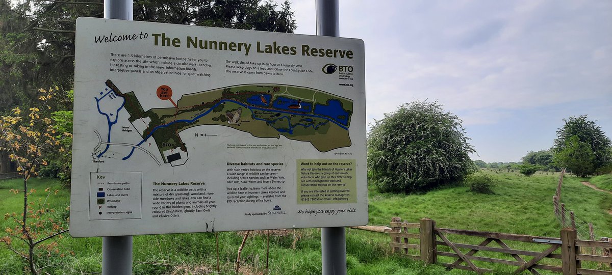 Territory mapping visit to my section of the @_BTO Nunnery grounds and lakes plot this morning. Long-term project and great team effort to get the area covered. Nuthatch singing and lots of Wrens! Didn't connect with the Avocet that flew over the lakes heading my way.