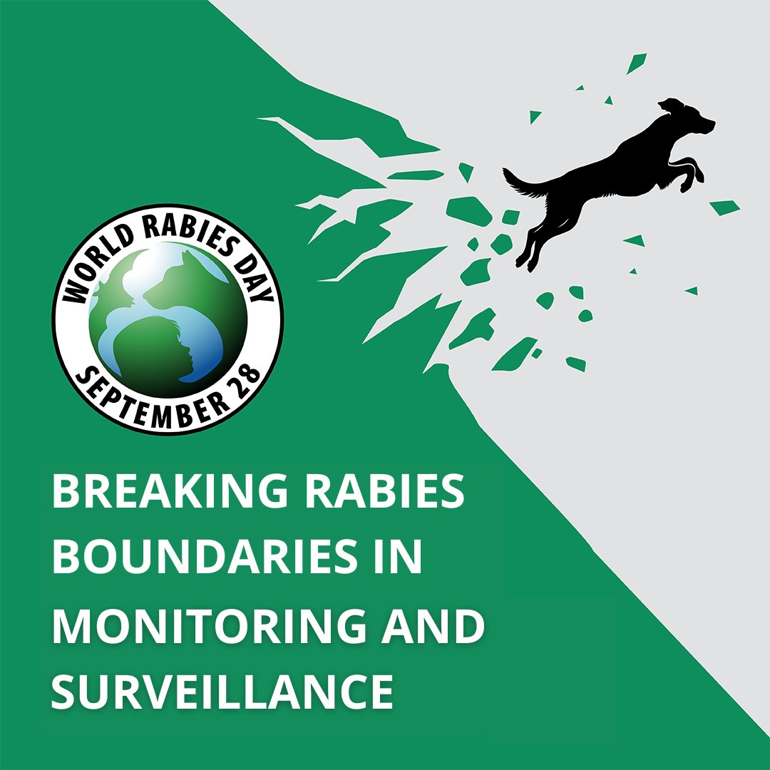 Ready to break the boundaries that limit our understanding of the disease situation? 🌍 Use GARC's FREE surveillance tools to track and monitor #rabies and interventions hubs.ly/Q02trmD60 Which one fits your work best? 📊💻 #EndRabiesNow #WRD2024 #BreakingRabiesBoundaries