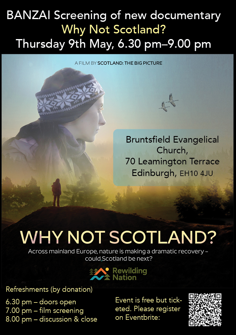 📽️Rewilding: Why Not Scotland? 
Free, this Thursday 6.30 
Nature is dramatically recovering in EU. Scotland is depleted, but WNS shows how landscape ecological restoration helps nature, climate & people. 
Refreshments & discussion. 
#Edinburgh #Rewilding 
tinyurl.com/WNS24