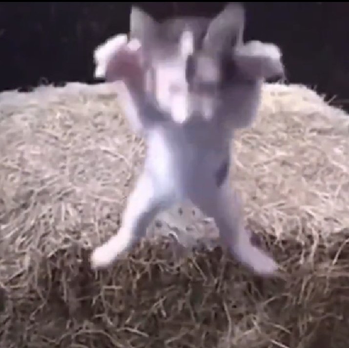 ((AHAAHTAGSHSIJAAAAARARARRAAGAHAGATRAGAHAHGGHHRHRHRGGEHSGRGRHEHEGEGEGRHGGGRGRRRGRRGRHRHHAHAGAFRAGGHHHAGATARGGHHAHSJDISKDKDJIWNXBFJ