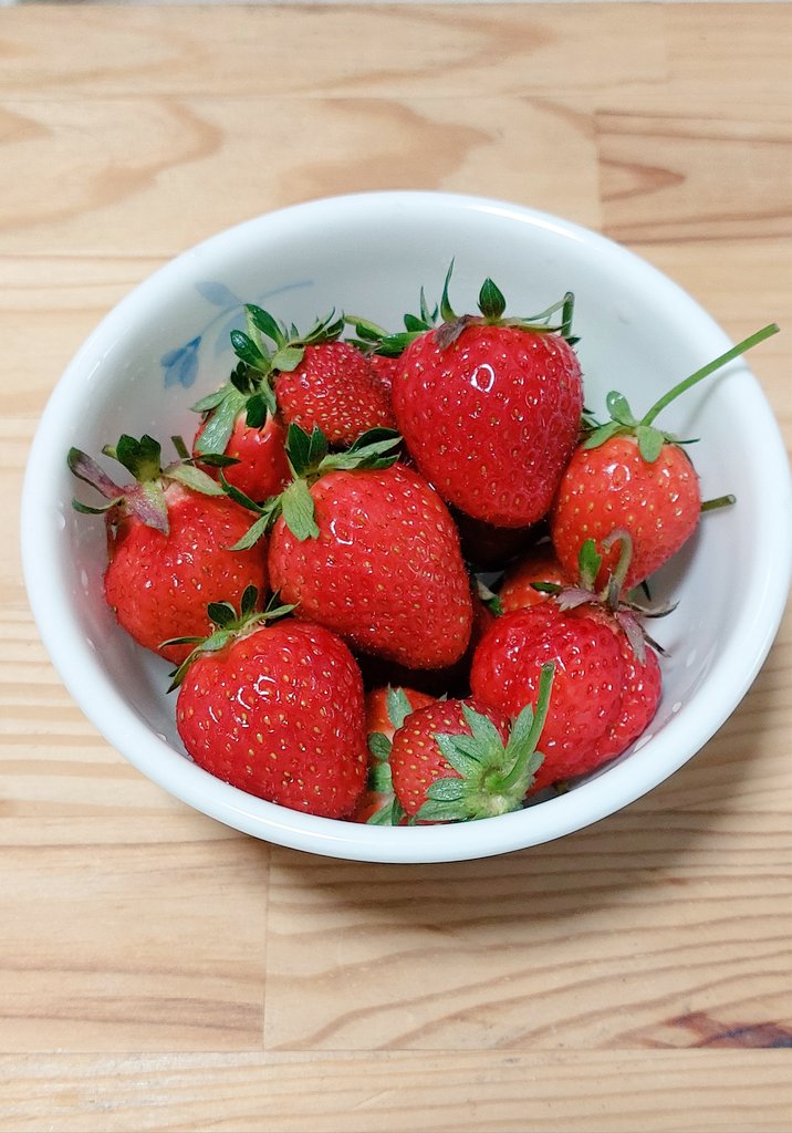 無農薬無肥料放置で甘いいちごがたくさんできる✨🍓