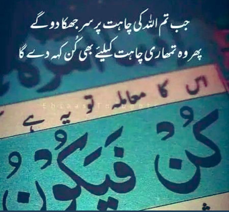 AHAMD ALI tweet media