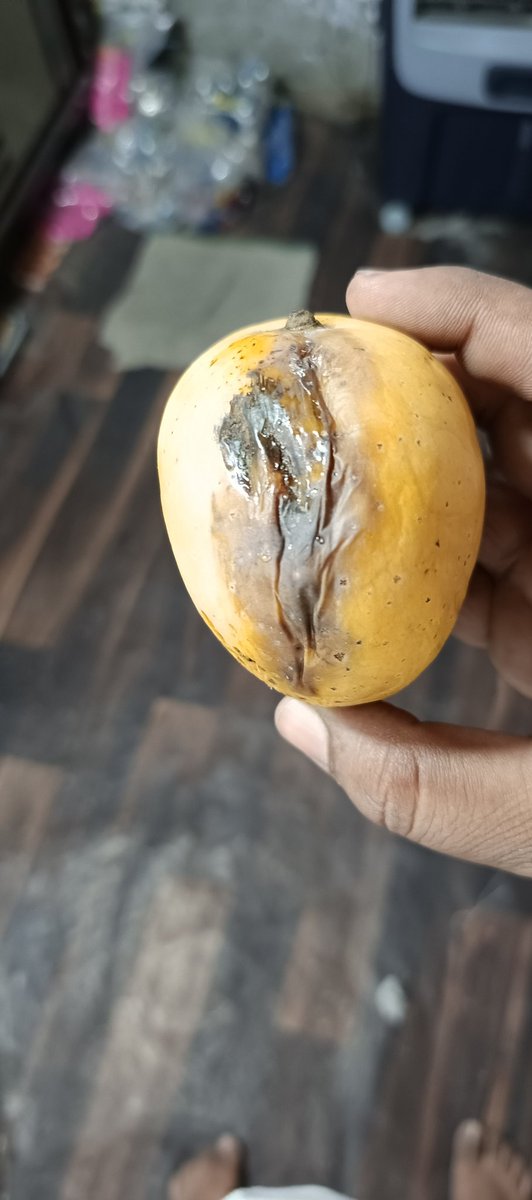 ViMaL SiNgH 🇮🇳 tweet media