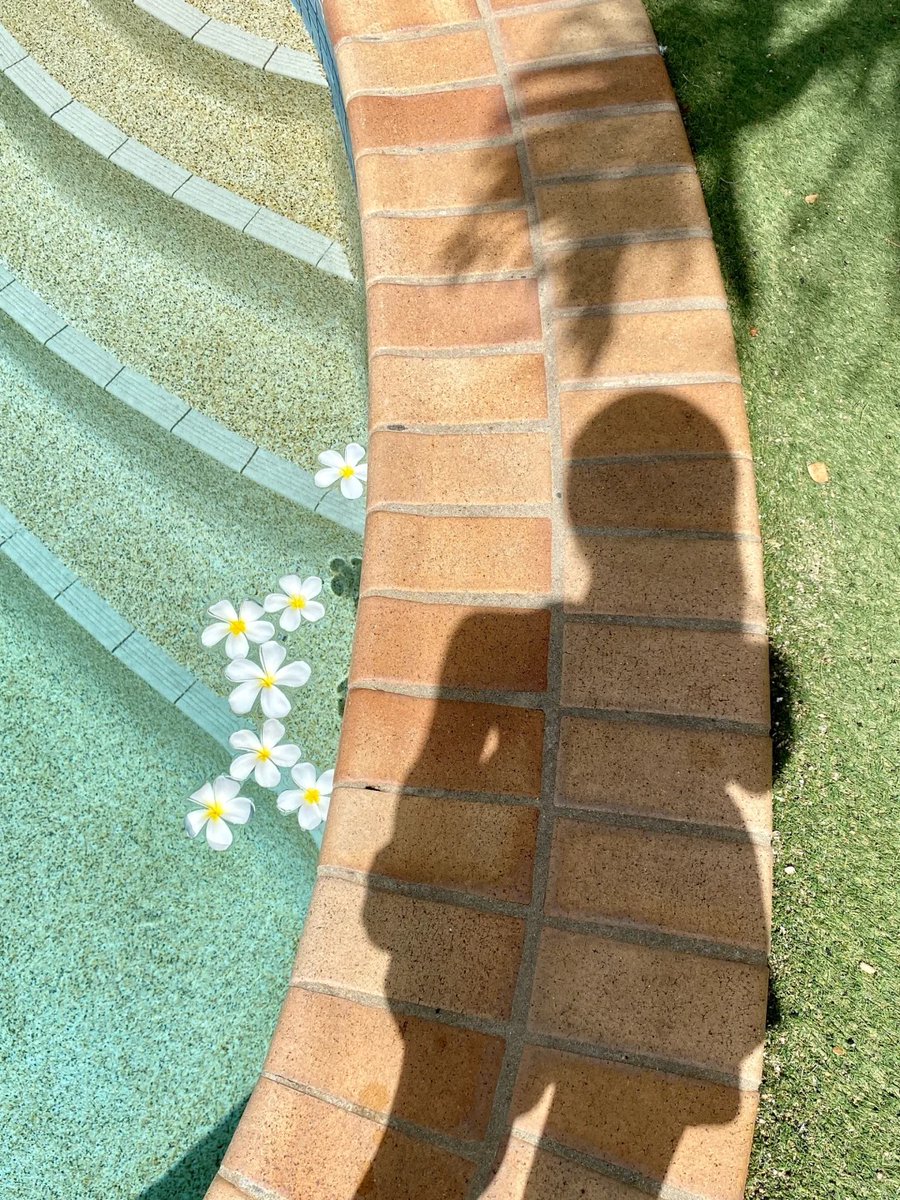 011Flopy's tweet image. "Life is like a swimming pool. You dive into the water, but you can't see how deep it is."