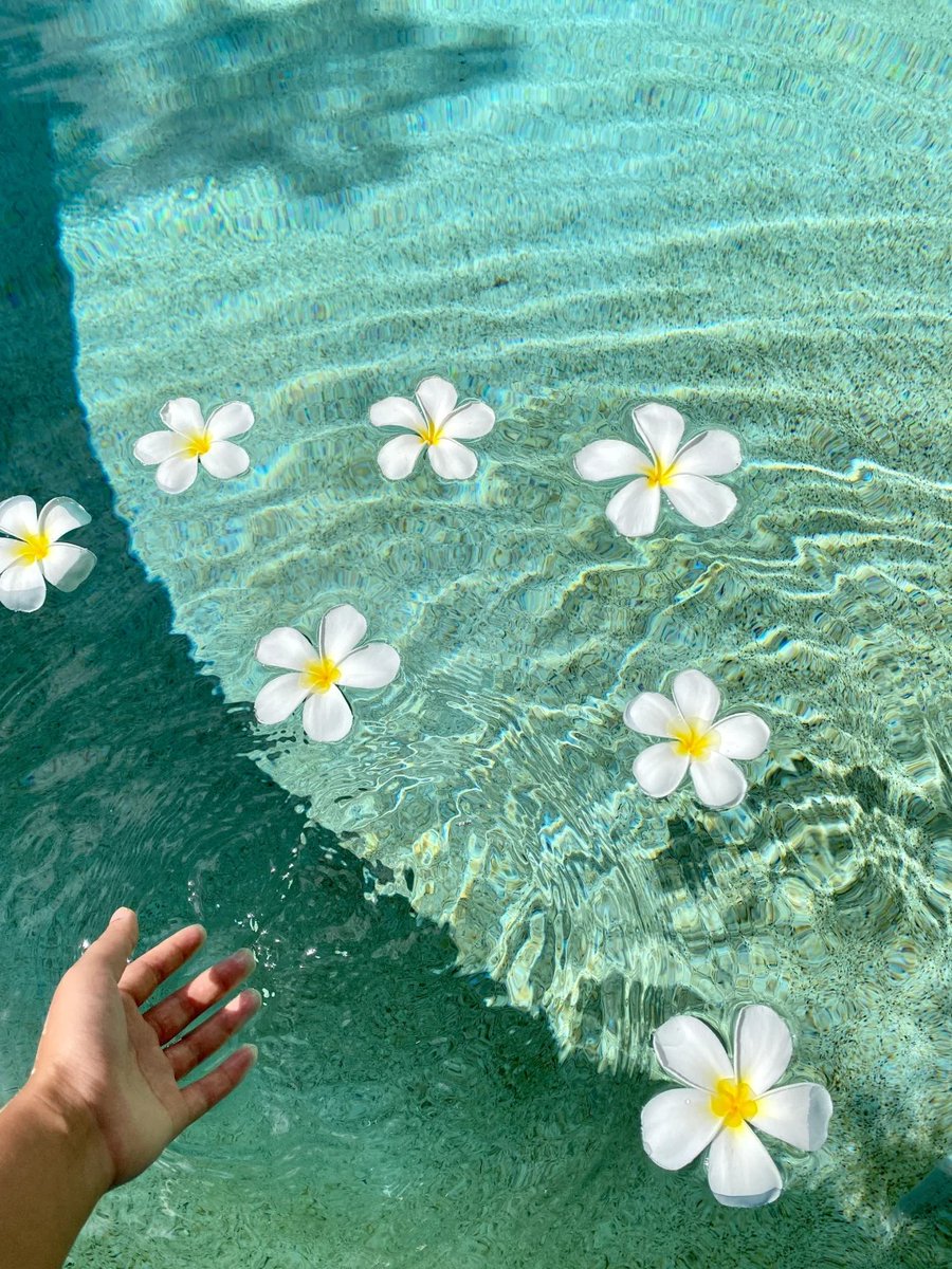 011Flopy's tweet image. "Life is like a swimming pool. You dive into the water, but you can't see how deep it is."