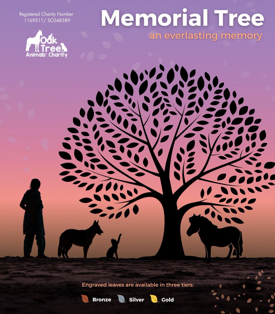 We are now offering the opportunity to commemorate your loved ones on our Memorial Tree which will be displayed outside our tearoom.
Purchase an engraved aluminium Oak Leaf which can be in memory of a friend, family, or beloved pet. oaktreeanimals.org.uk/.../memorial-t…
