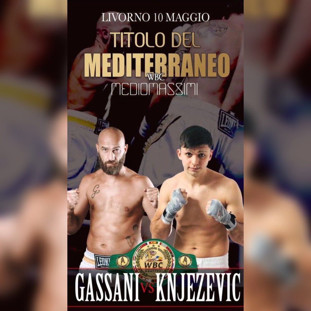 🏆 🚨🚨🚨#Fightnews 🥊 🏆Titolo mediterraneo Mediomassimi WBC 🥊 il 10 maggio PV a Livorno il nostro Federico Gassani 🇮🇹 sfiderà il croato Bruno Knjezevic 🇭🇷 🥊 Evento Promo Boxe Italia #Euro #Boxing #Boxer #Pugilato #FightNews #Fighter #Match #Title #belt #boxingmatch…