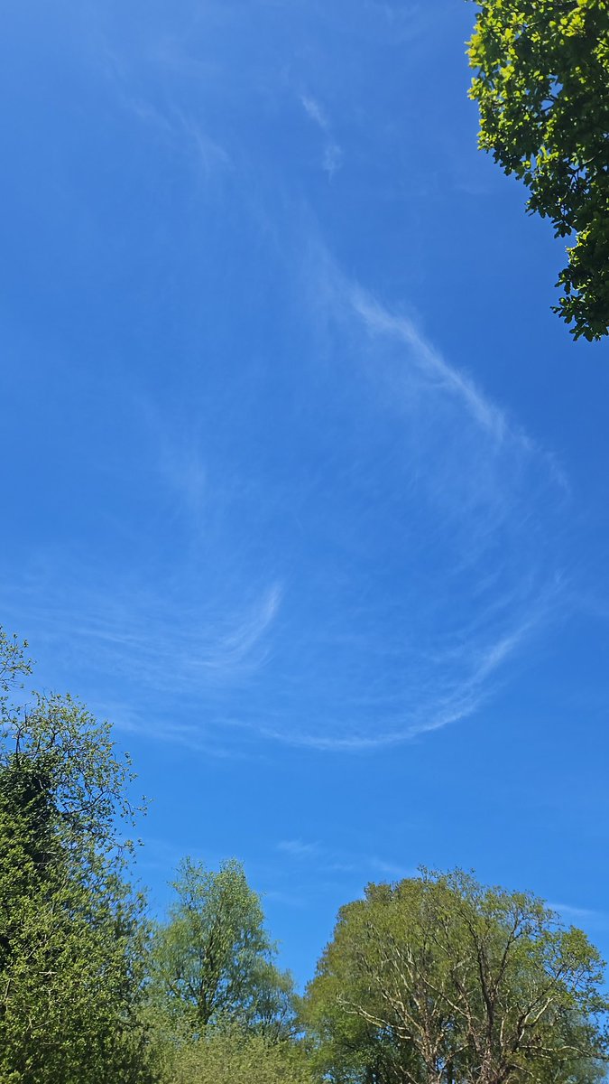 Look at Sunday's beautiful blue sky at Kilcommon and Tomnafinogue.

Featuring <a href="/CommArchWick/">Wicklow Community Archaeology</a> and <a href="/inkdropart/">sara nylund</a>'s fantastic interpretive panel and graveyard survey