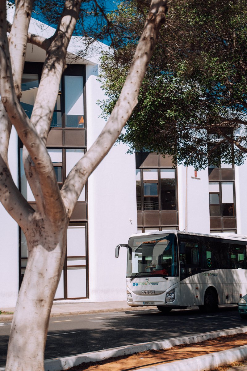 🛣️🔁Trabajamos para hacer posible tu destino.

#Yovoyenguagua #Guagüismo #DescubreLanzarote #MuéveteenGuagua #Lanzarote #LanzaroteenGuagua #PracticaGuagüismo #Guagua #IslasCanarias #CanaryIslands #TurismoLanzarote #Transporte #TransporteSeguro #TransporteSostenible