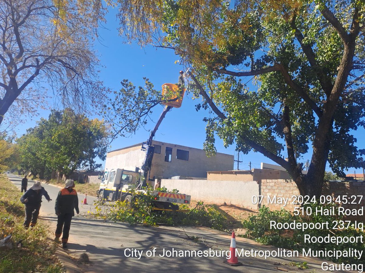 Tree pruning is in progress in Hail Road, Roodepoort 

Please note that all service requests relating to tree pruning should be logged with the City of Joburg’s call centre on 0113755555 / 0860562874 or alternatively e-mail joburgconnect@joburg.org.za

#JCPZServices #jcpzatwork…