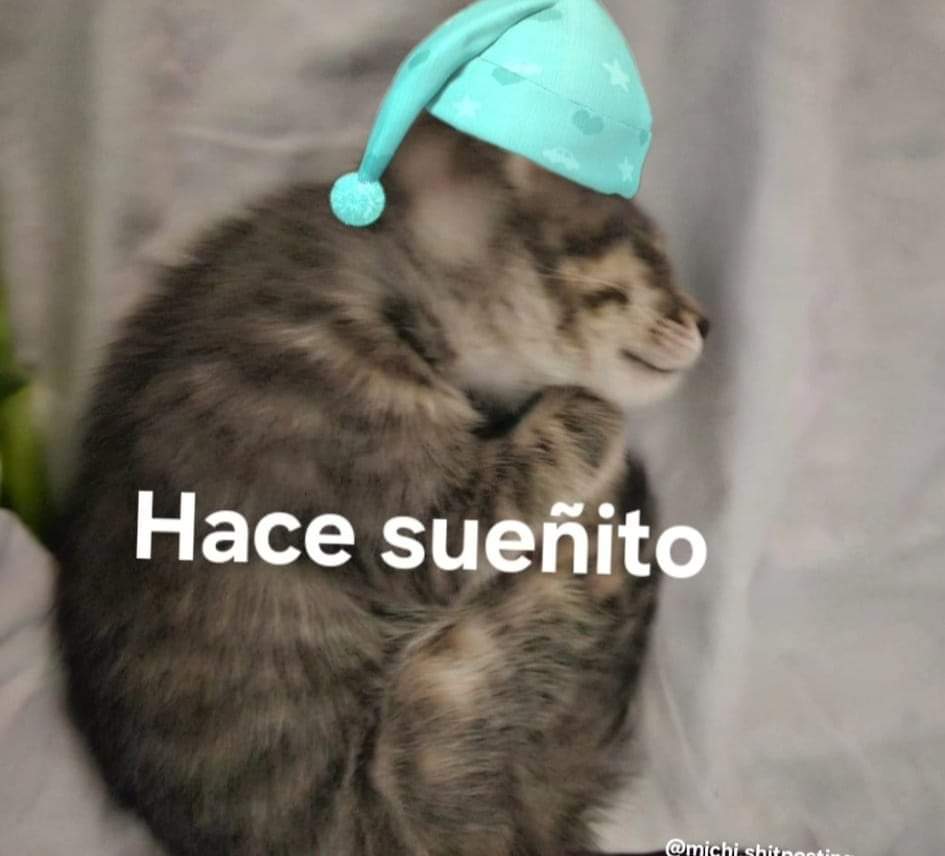 𝗨𝗦𝗦𝗘𝗥:
Pues bien, ya solo me resta desearles buenas noches a los que anden activos, sueñen bonito y descansen🌙
¡Y no se me pasa! Muchísimas gracias por las interacciones que realizan con la cuenta, por encima de todo valoro mucho la paciencia que me tienen, tkmmm♡