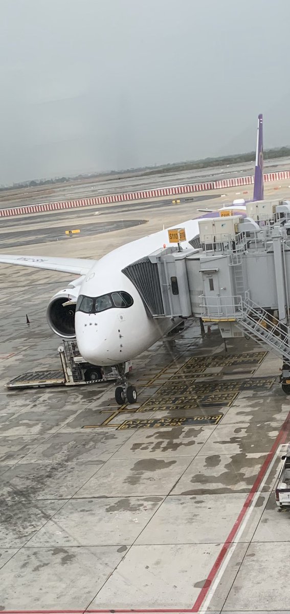 今日も安全運航有難うTG
#Thaiairways
#タイ国際航空