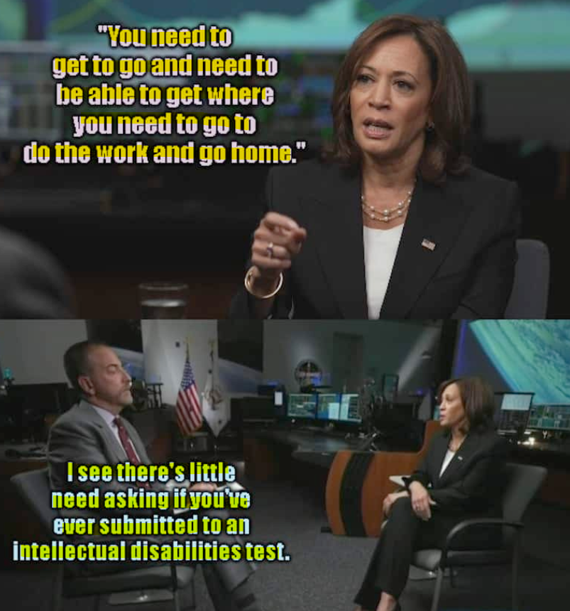 Kamala Harris VPOTUS
Why the dumbest of the dumbest presidents/vice presidents people elect to lead them. 
'You need to get to go
and need to be able to
get where you need to go
to do the work and 
go home'
Intellectually disable lady.