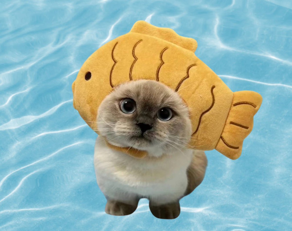 CatFish Solana tweet media