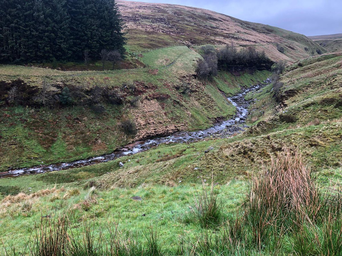 Helen Lumber π©πΌβπ» (@helenlumber) on Twitter photo π¨Charity climb training update:
Took a much needed break from the laptop for fresh air & get some training in for my charity climb in July for the #awesome <a href="/TASCharity/">TASC The Ambulance Staff Charity</a>
Horrific weather π§οΈπΆβπ«οΈ
Borrowed hubbies waterproofs ππ
Pen Y Fan is 200m < Snowdon
Did it in 2.5hrs πͺπ»π€ π¨Charity climb training update:
Took a much needed break from the laptop for fresh air & get some training in for my charity climb in July for the #awesome <a href="/TASCharity/">TASC The Ambulance Staff Charity</a>
Horrific weather π§οΈπΆβπ«οΈ
Borrowed hubbies waterproofs ππ
Pen Y Fan is 200m < Snowdon
Did it in 2.5hrs πͺπ»π€