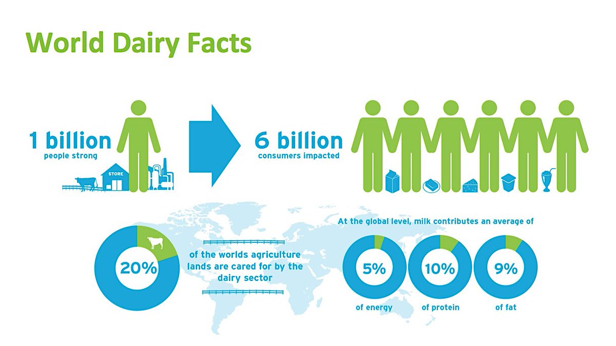 Did you know that 6 billion people across the globe consume dairy products? A staple of diets all over the world, dairy plays an important role in providing key nutrients such as #calcium, #protein and #phosphorous.