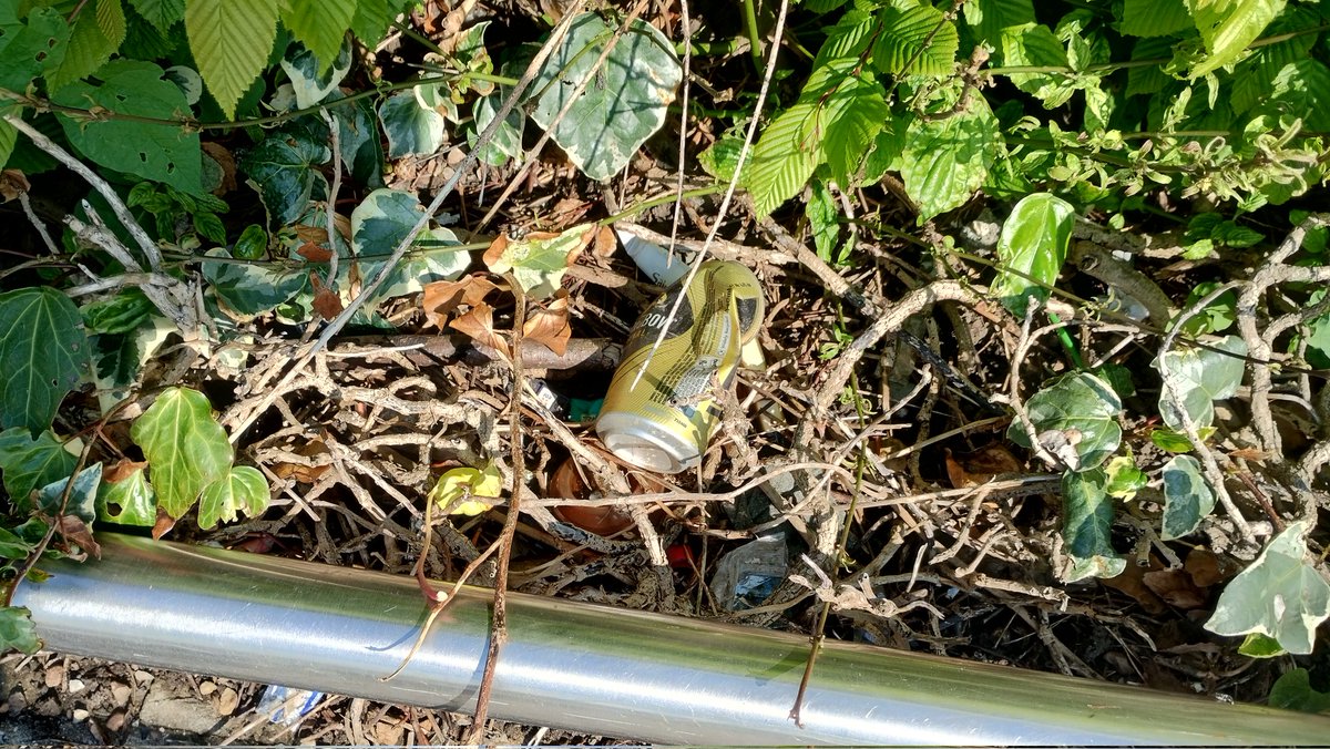 Sainsbury's busy filming an advert while I'm taking pictures of their borders. Day 5. #litter #rubbish #se26 #sydenham #bellgreen