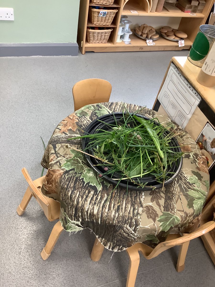 preschool_Orchard_PA (@pa_orchard) on Twitter photo After a lovely sunny bank holiday weekend, we are ready for another busy week in Pre-School. We are looking at plants and watching how they grow.
<a href="/NOrchardpa/">Orchard Primary Academy Nursery</a>
<a href="/TeamPastoral/">Orchard Pastoral Team</a>
<a href="/OrchardPrimaryA/">Orchard Primary</a> After a lovely sunny bank holiday weekend, we are ready for another busy week in Pre-School. We are looking at plants and watching how they grow.
<a href="/NOrchardpa/">Orchard Primary Academy Nursery</a>
<a href="/TeamPastoral/">Orchard Pastoral Team</a>
<a href="/OrchardPrimaryA/">Orchard Primary</a>