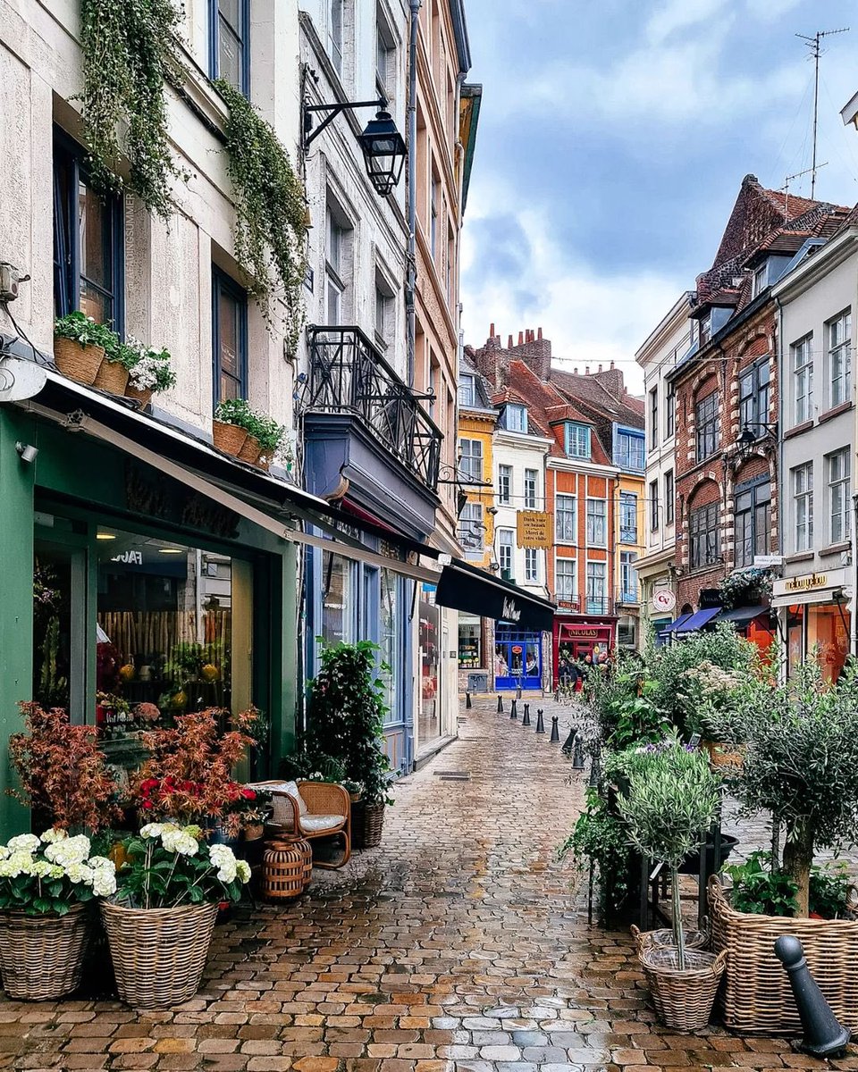 Lille, France 🇫🇷