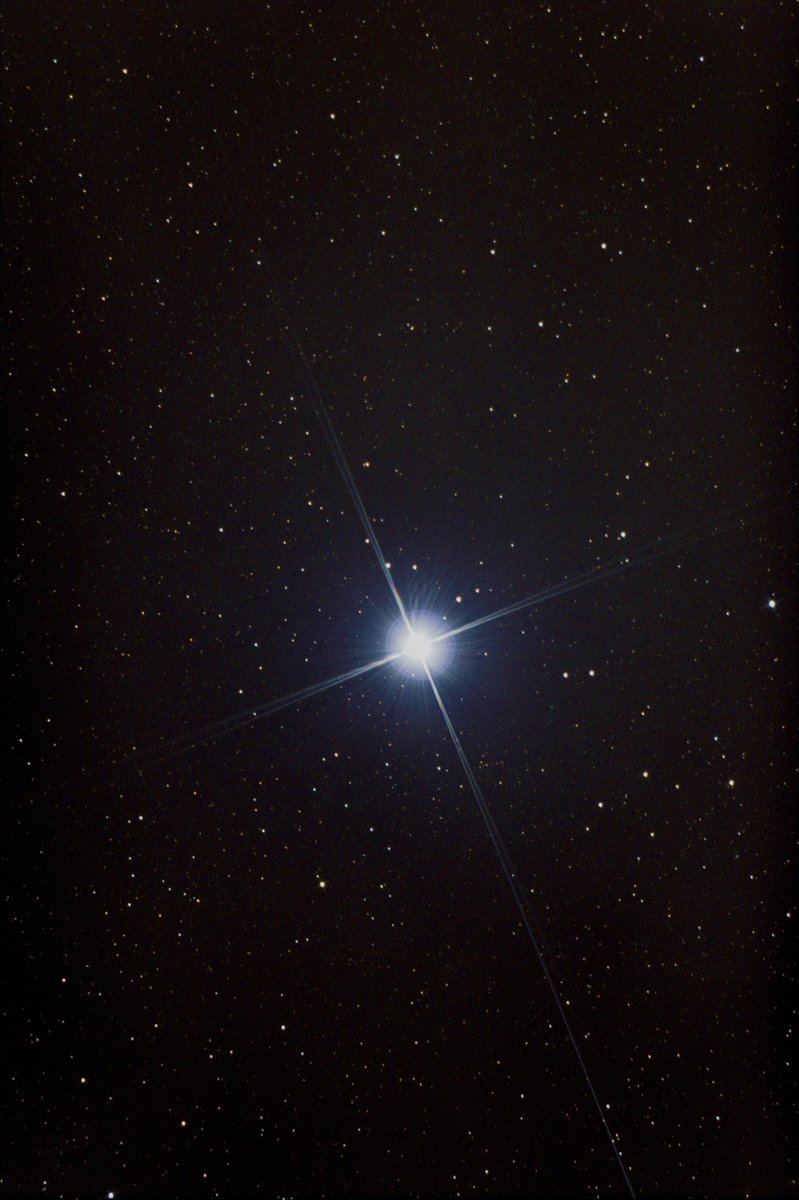 Sirius, the brightest star in the night sky