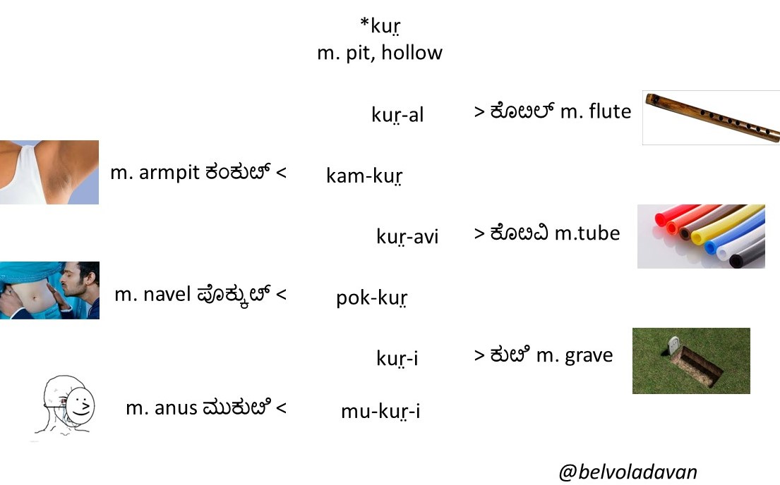 Guys do you know Kannada words for Navel and Flute have something in common! 🫣

#ಕನ್ನಡ #Kannada #Etymology 

ಬಯ್ಯಬೇಡಿ, okbye.🏃🏻‍♂️