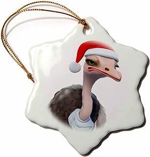 Amazon.com Fun #Ostrich Weating #Santa Hat #taiche #3dRose #christmasinjuly #christmas #christmasdecor #christmastree #christmastime #christmasdecorations #christmasiscoming #santa #christmasgifts #christmasdecorating #christmasvibes  amazon.com/s?k=3dRose+376…