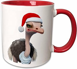 #Ornaments Amazon.com Fun #Ostrich Wearing #Santa Hat #taiche #3dRose #christmasinjuly #christmas #christmasdecor #christmastree #christmastime #christmasdecorations #christmasiscoming #santa #christmasgifts #christmasdecorating #christmasvibe amazon.com/3dRose-Ostrich…