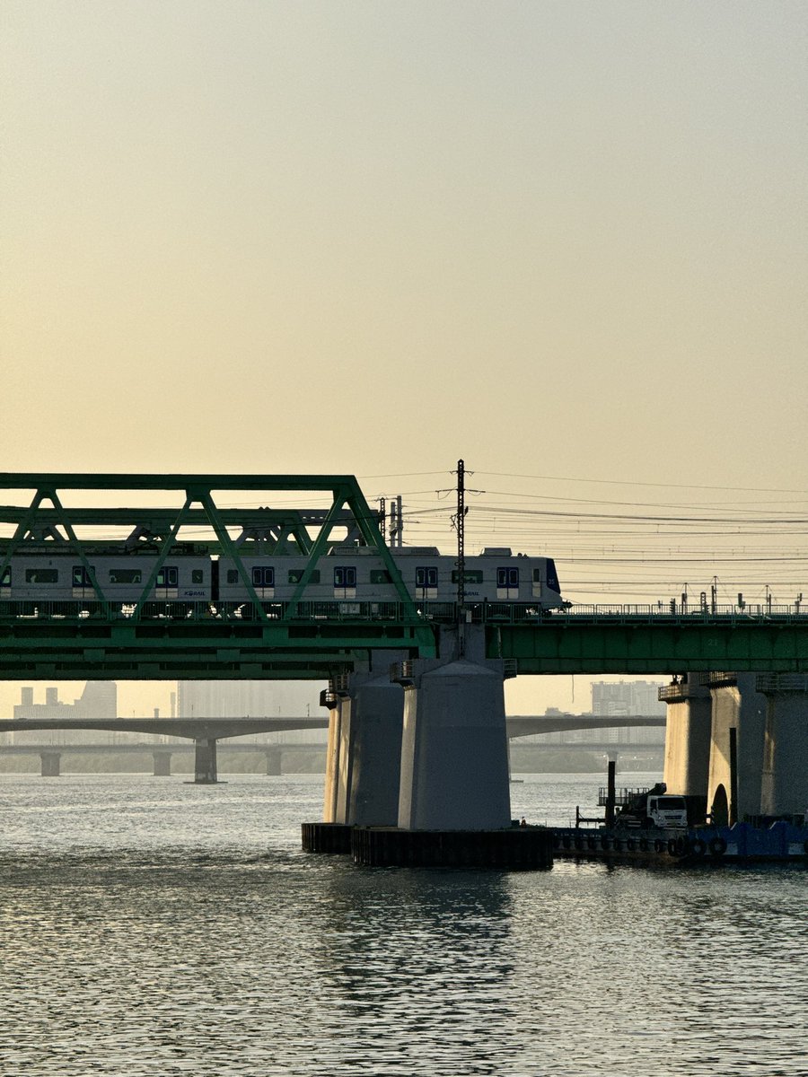 repeacediary tweet media