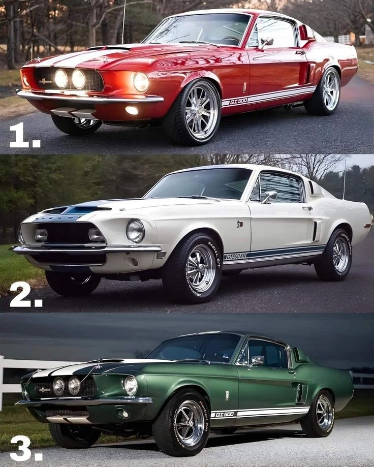 GT500
Top , Middle or Bottom? 🤔