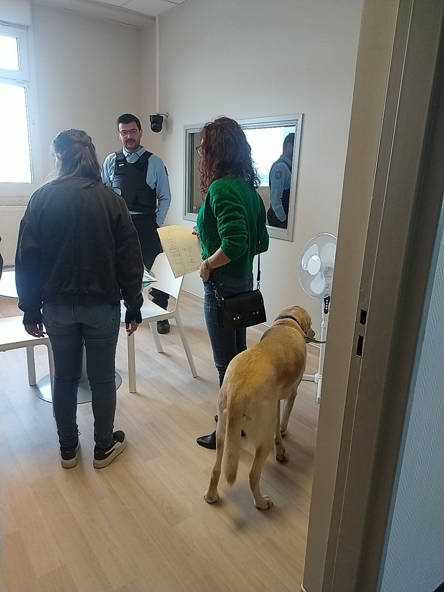 Gendarmerie_054's tweet photo. #AccueillirAgir...Préparation aux UMJ d'une audition de mineur-victime avec SAXO, chien d’assistance judiciaire. L'enquêtrice de la COB Pagny/Moselle, en lien avec #MPF54, a sollicité sa présence, objet d'une convention entre TJ Nancy , #HandiChien , les FSI et FranceVictime54 🐶 https://t.co/IYXAaAJqyG