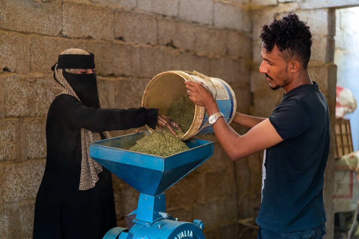 We can achieve more when we work together. With #EU @EUinYemen we supported 750 Yemenis, incl. 355 women, with grants to start their own businesses. We are committed to women's economic independence & empowerment in #Yemen. #UNDPEUpartnership20 #EuropeDay