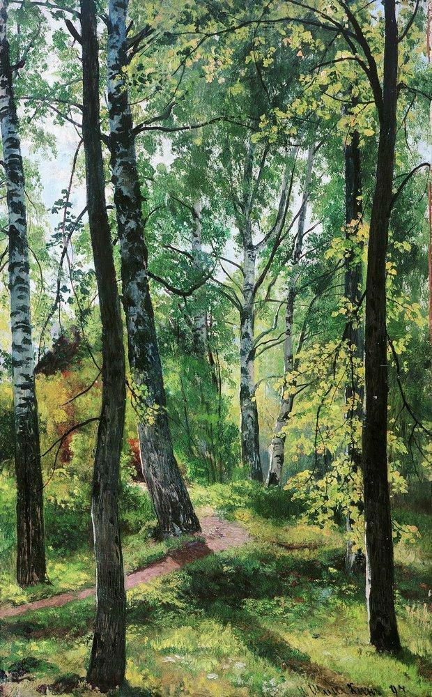 Deciduous Forest, 1897 Get more Shishkin 🍒 linktr.ee/shishkin_artbot