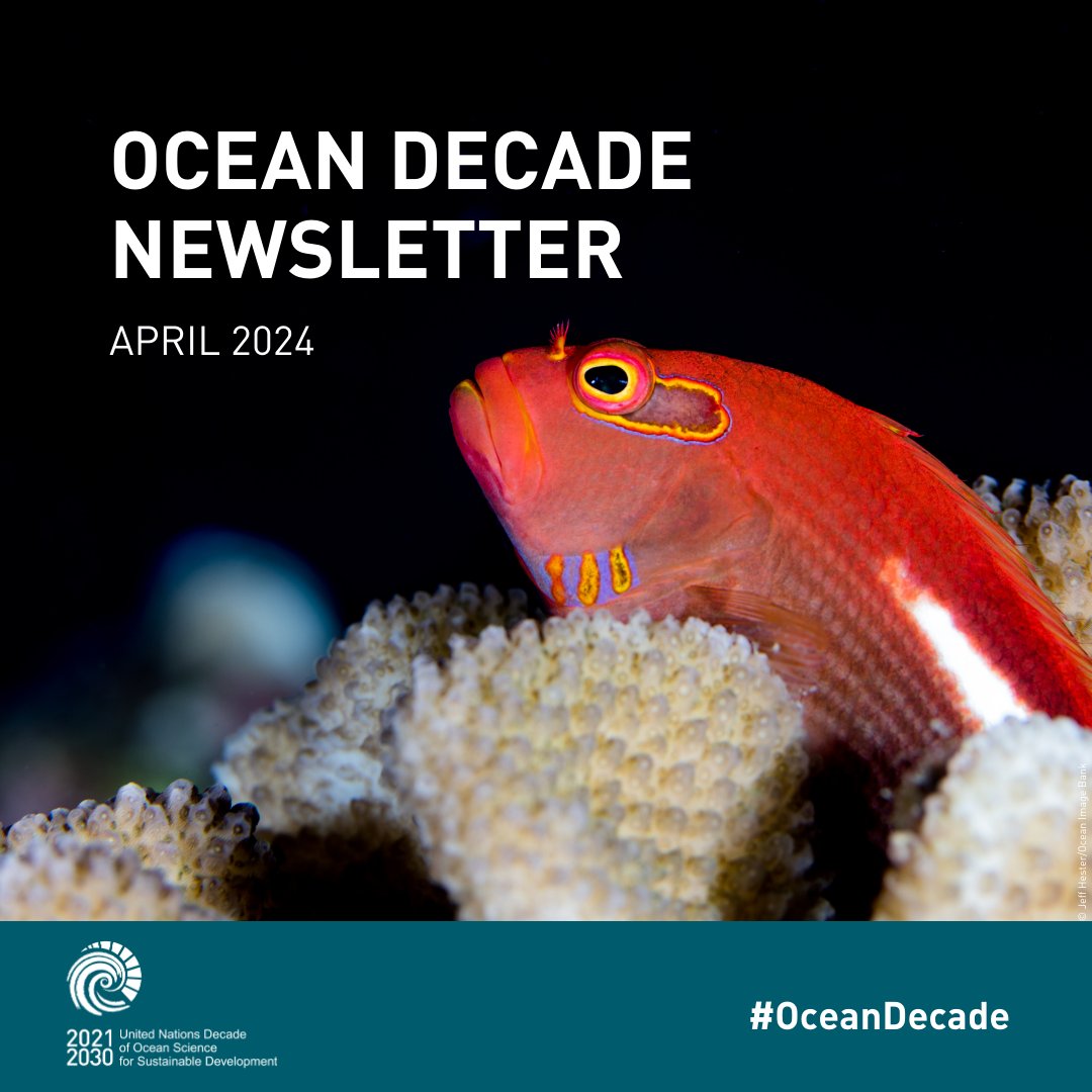 Our April newsletter is out! Catch up with the latest news and events from the world's biggest ocean science movement. Read and subscribe here: ow.ly/Cxlk50RxgCS #OceanDecade