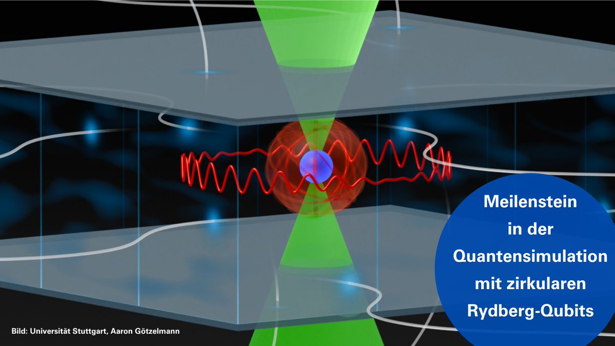 Forscherteam der #UniStuttgart erzielt Meilenstein im Bereich #Quantensimulation und #Quantencomputing durch Überwindung der begrenzten Lebensdauer von #Rydberg-Atomen. 
 👉 sohub.io/btml