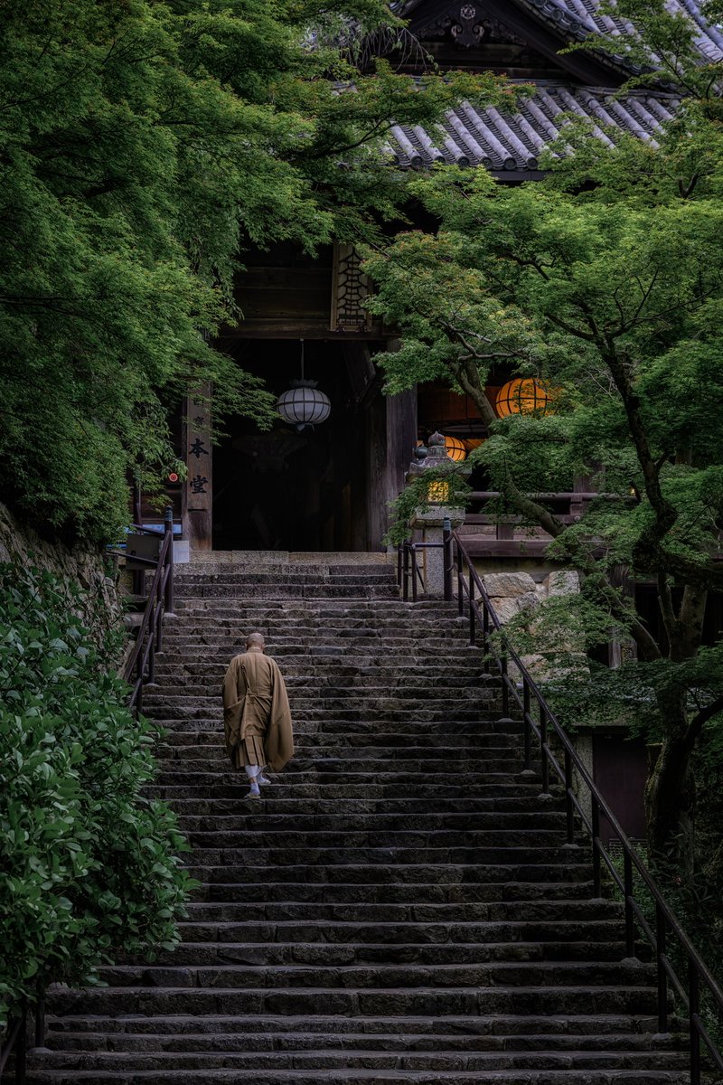 奈良の古刹長谷寺青葉の佳景