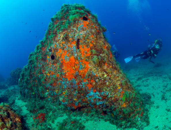 ¿En busca de tesoros 🪸escondidos bajo el mar? Vas a alucinar con la cantidad de joyas⚓que esconden las profundidades de nuestra costa. Descarga nuestra guía de buceo y ¡que empiece la aventura! 👉 kont.ly/5a6b352b 📸Águilas #TurismoRegióndeMurcia #CostaCálidaEsBuceo