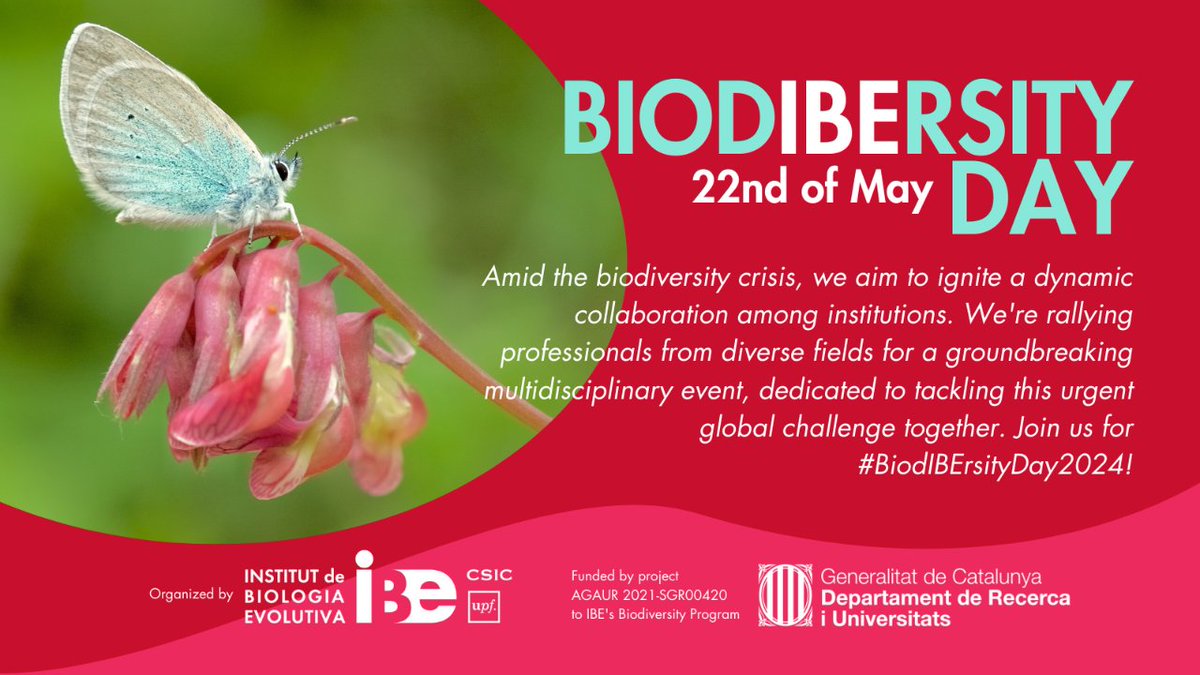 🌟 Ets periodista i cobreixes temes de #biodiversitat? No et perdis el #BiodIBErsityDay2024! Vine i descobreix 9️⃣ ponències amb expert@s en #conservació, #ecologia i #evolució. Una oportunitat única per abordar la #CrisiBiodiversitat 🦋🌿🌎 ✍️ ibe.upf-csic.es/home/-/asset_p…