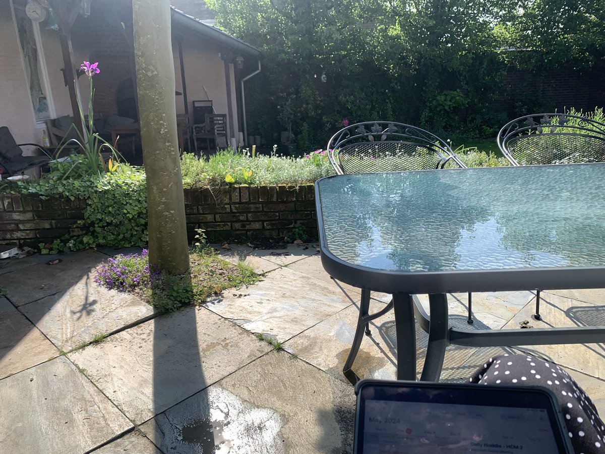 DutchLassie's tweet photo. Fijn even vitamine D tanken tijdens werken op m’n iPad in de tuin #Limbabwe https://t.co/TGv2eI4U64