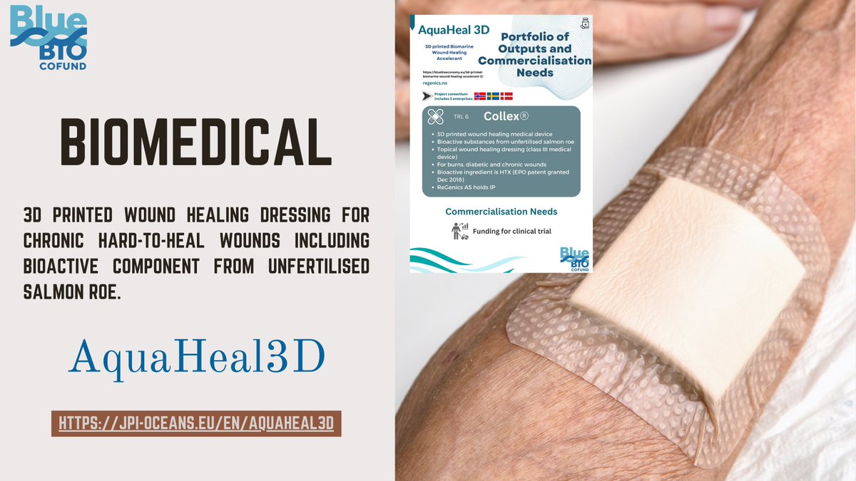 💡DYK that extracts from unfertilised salmon roe have been incorporated into a wound healing dressing developed by @BlueBioCOFUND project AquaHeal3D? 

Showcasing #biomedical uses from #bluebioeconomy

Read more @jpioceans 
🔗jpi-oceans.eu/en/aquaheal3d