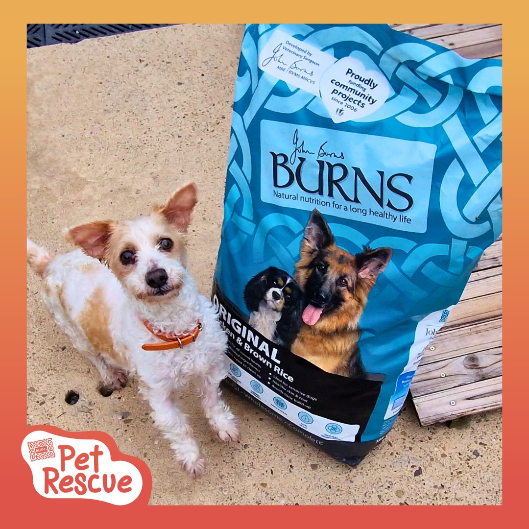 RSPCA Derby (@rspcaderby) on Twitter photo Daisy would like to say a big thank you to <a href="/burnspetfood/">Burns Pet Nutrition</a> for providing us with delicious dry food for our cats and dogs πΎπ
#BurnsPetNutrition #BurnsPetFood #PoweredByBurns #BackedByBurns Daisy would like to say a big thank you to <a href="/burnspetfood/">Burns Pet Nutrition</a> for providing us with delicious dry food for our cats and dogs πΎπ
#BurnsPetNutrition #BurnsPetFood #PoweredByBurns #BackedByBurns