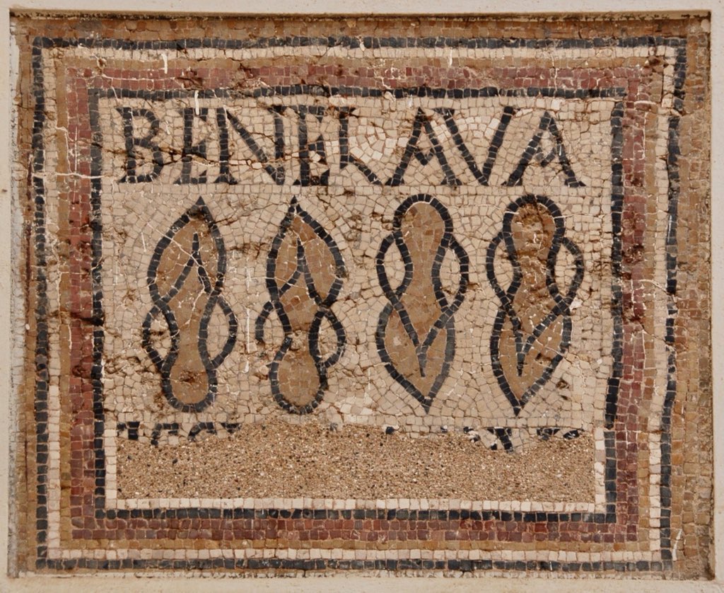 Cezayir'de yer alan Timgad Antik Kenti'ndeki bir Roma hamamının girişinde bulunan ve üzerinde 'Sıhhatler Olsun' anlamına da gelebilecek olan 'Bene Lava' ('İyi Yıkanmalar') yazan bir taban mozaiği. MS 1.-2. yüzyıllara tarihleniyor.