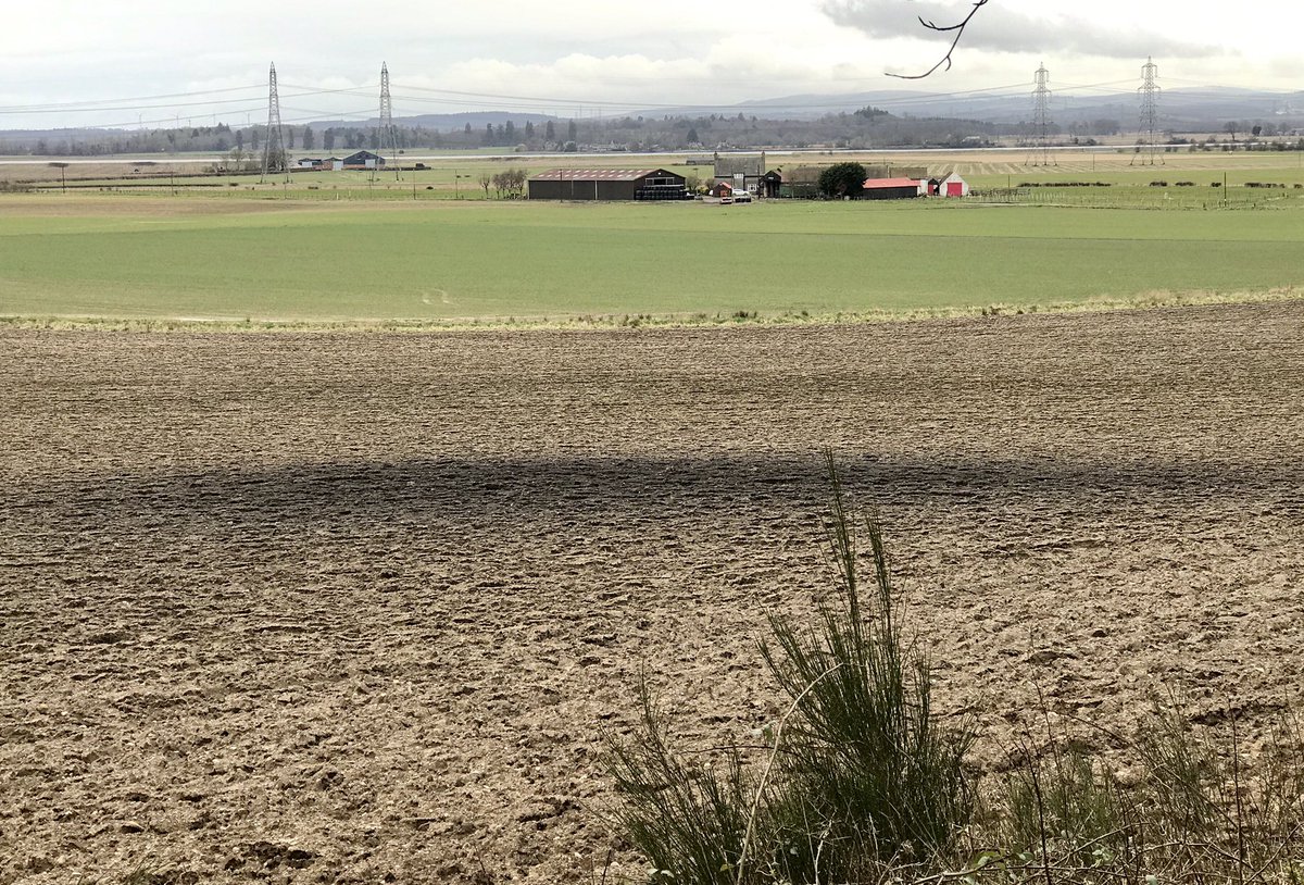 Love this time of year when ploughing reveals little clues to historic land use. Looking southwest over the River Forth carseland to Ferryton #Clackmannan where the #Alloa #Coal Company worked the Cherry and Splint coals in the 19th century.
#mininglandscapes #miningheritage